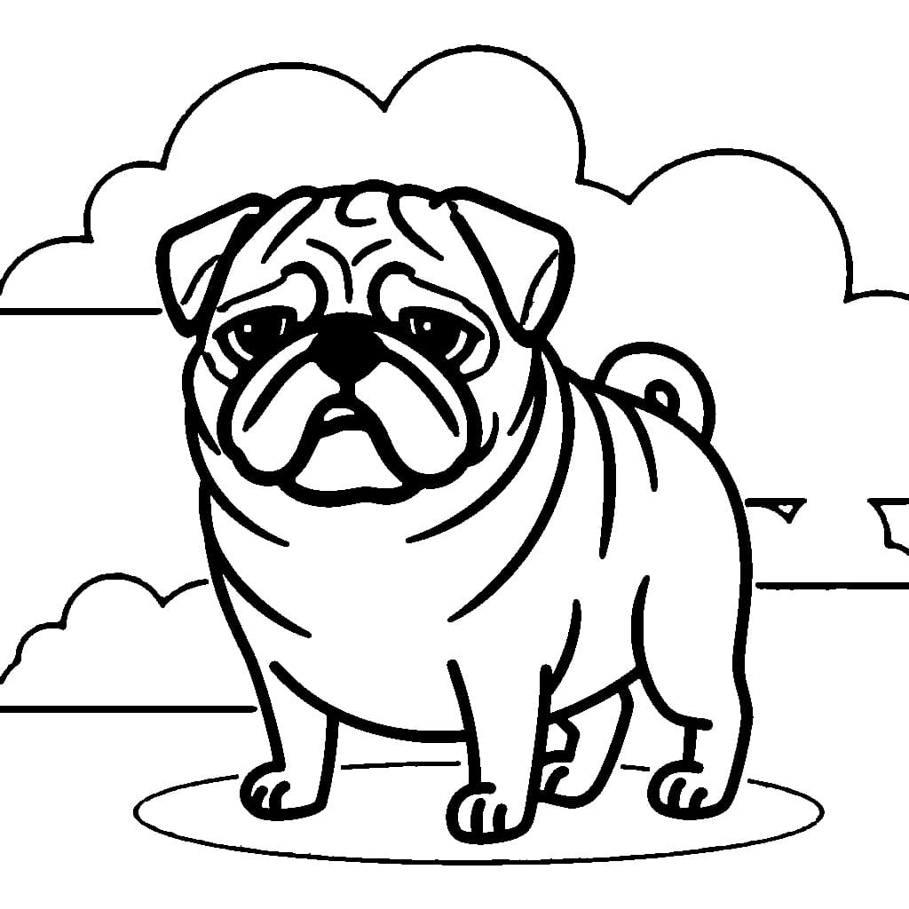 Chó Pug Ngộ Nghĩnh