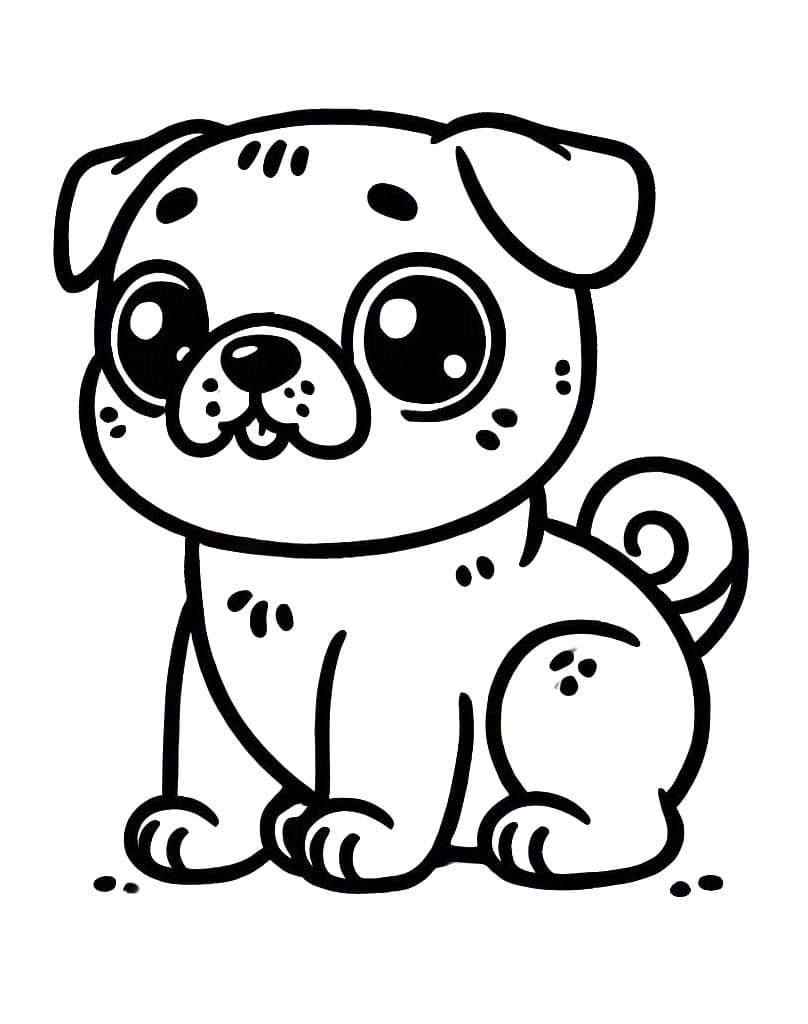 Chó Pug Nhỏ