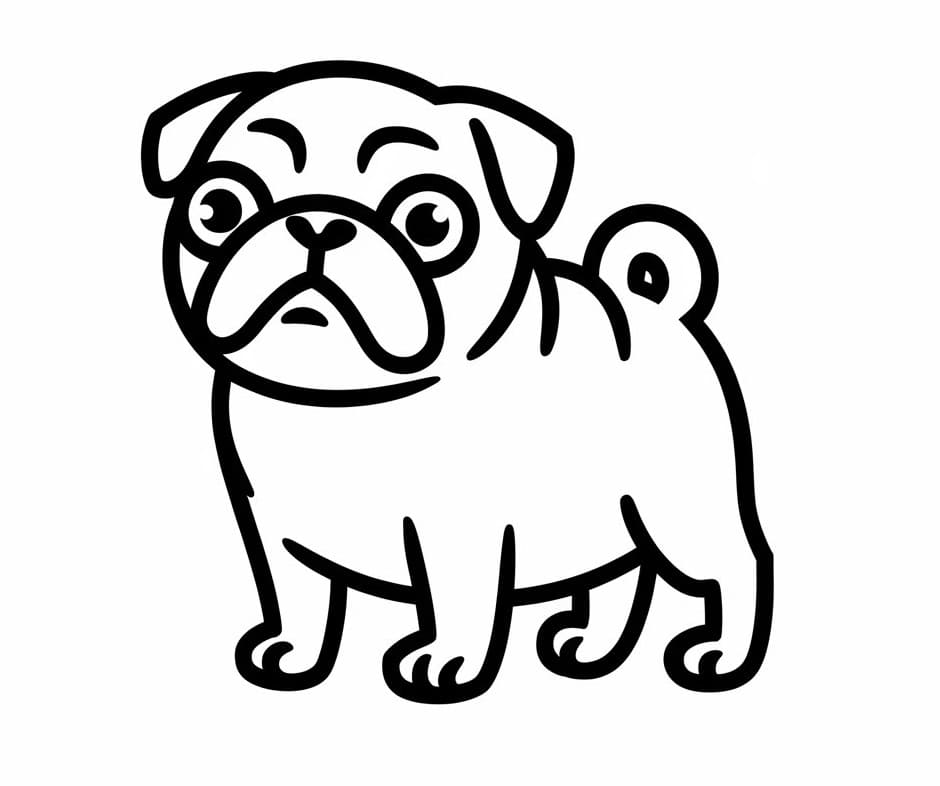 Chó Pug Rất Đơn Giản