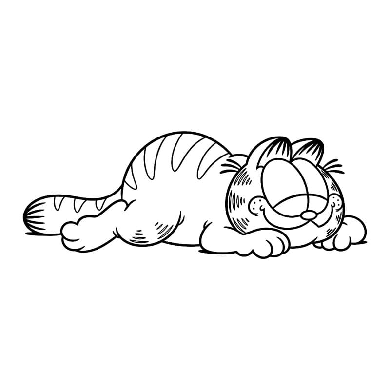 Chú Mèo Garfield Ngủ