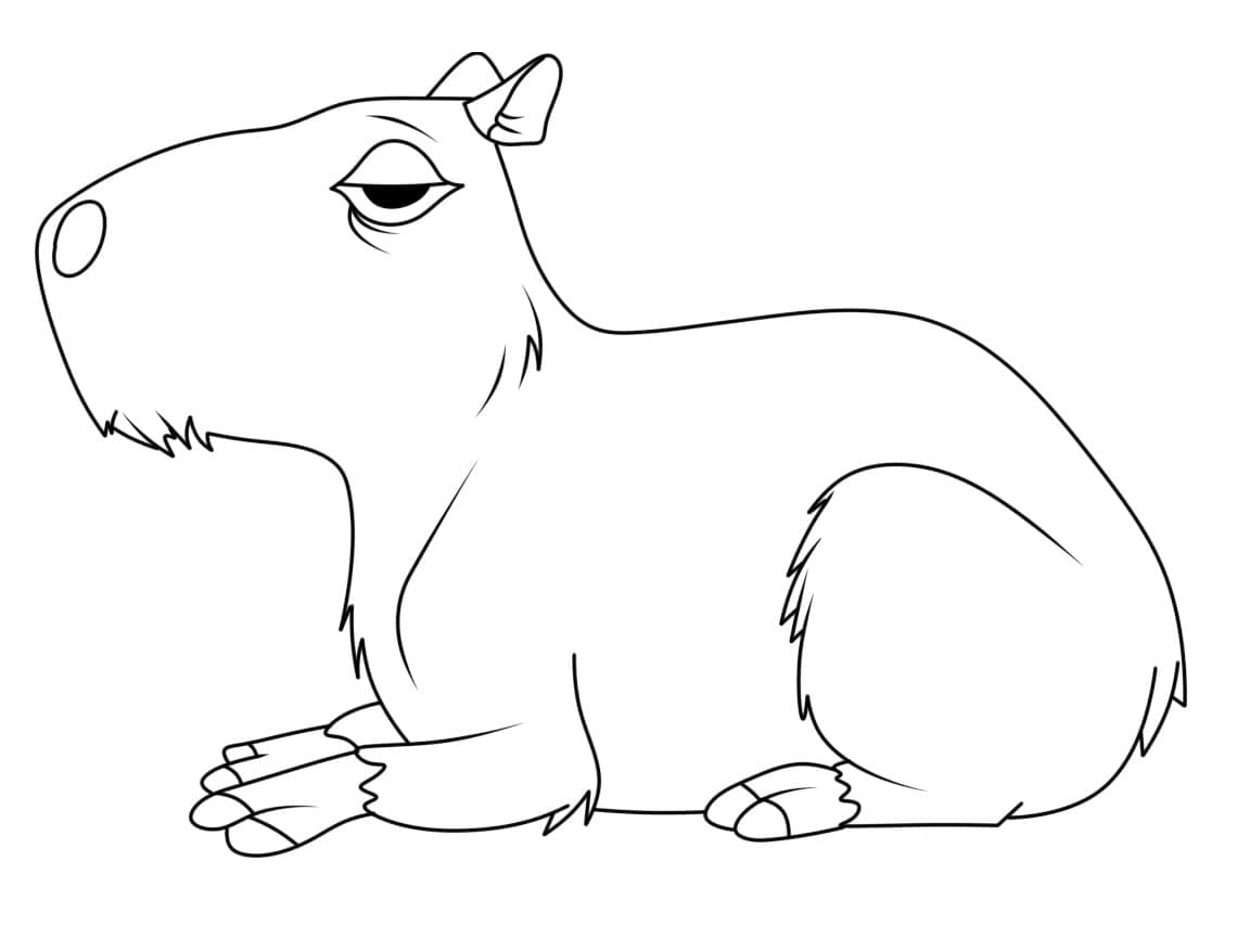 Chuột Lang Nước Capybara