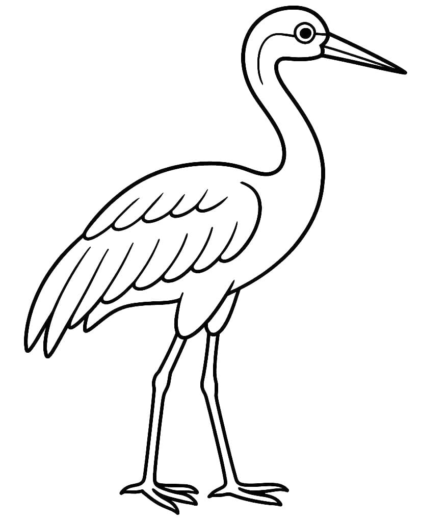 Tô màu Con Chim Hạc Đơn Giản Con Chim Hạc Đơn Giản