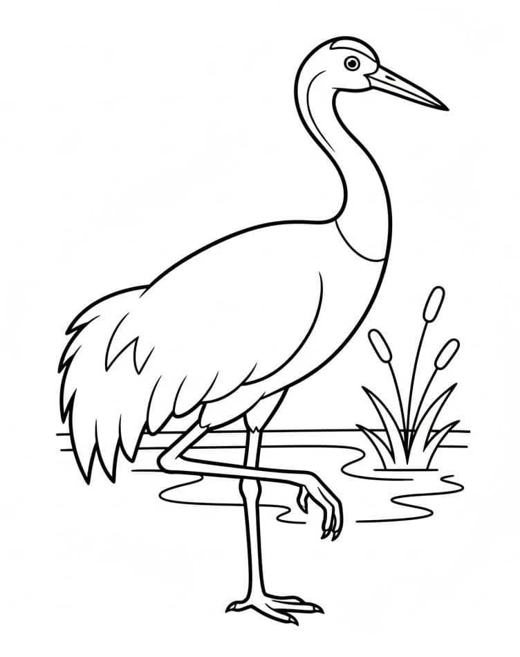Tô màu Con Chim Hạc Con Chim Hạc