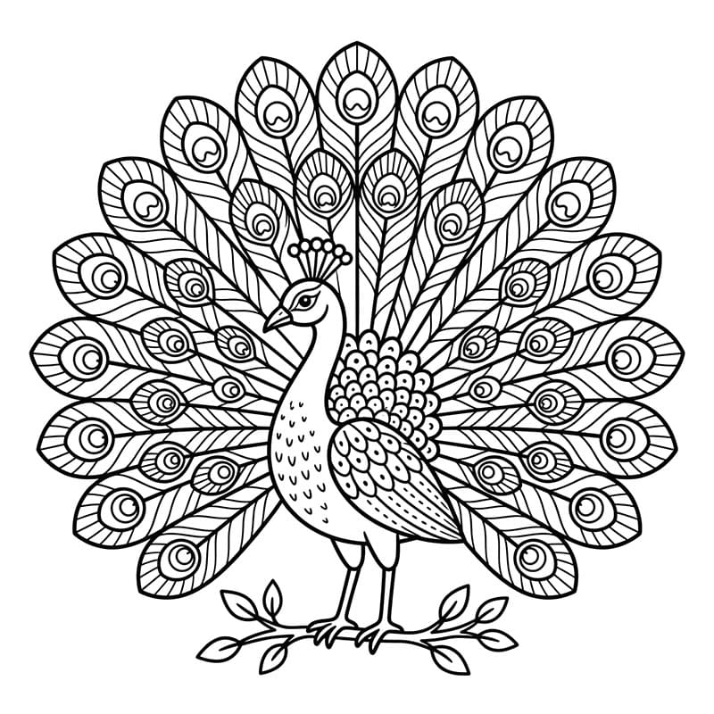Con Công Đang Đứng