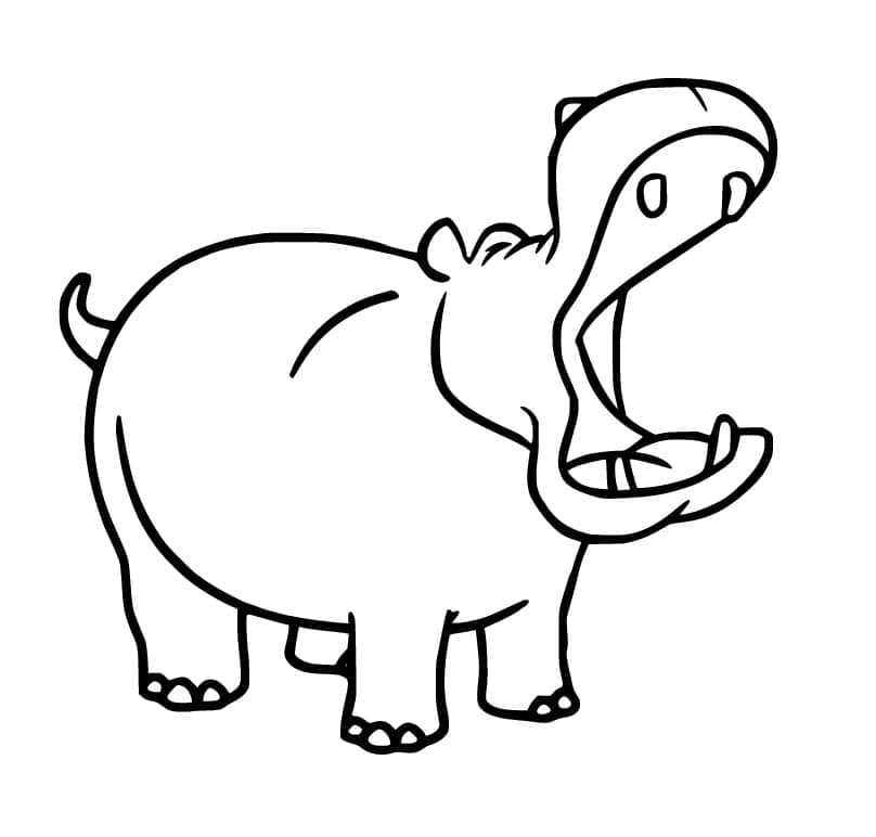 Con Hà Mã Miệng Rộng