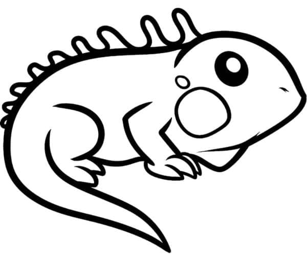 Con Kỳ Nhông Cute