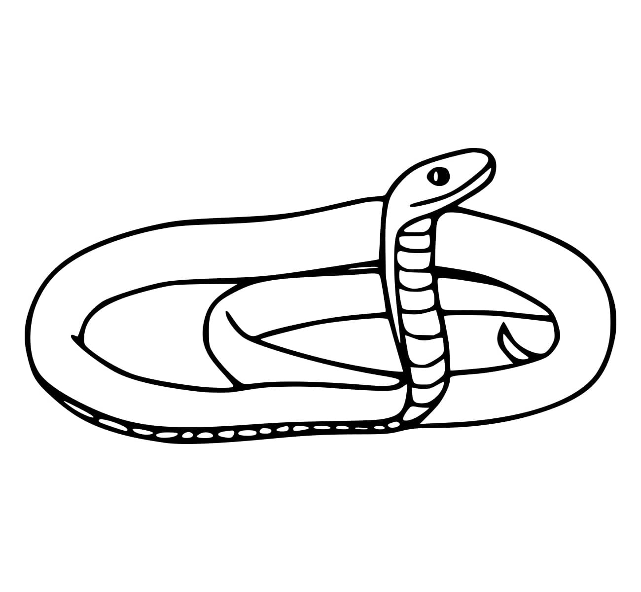 Con Rắn Dài Đơn Giản