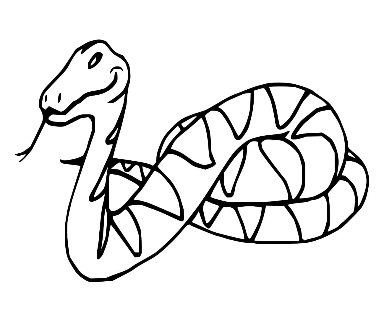 Con Rắn Đơn Giản