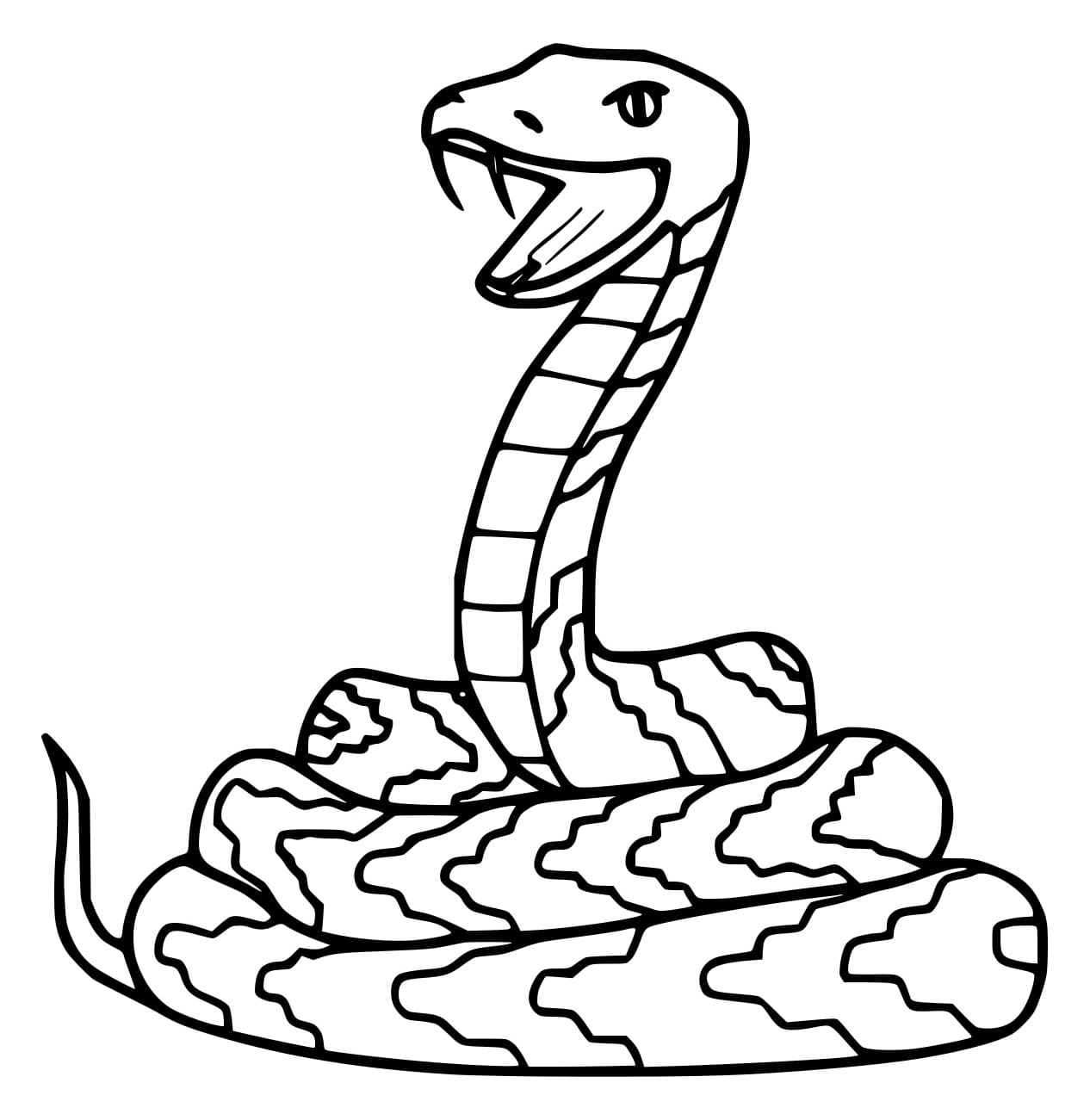 Con Rắn Há Miệng