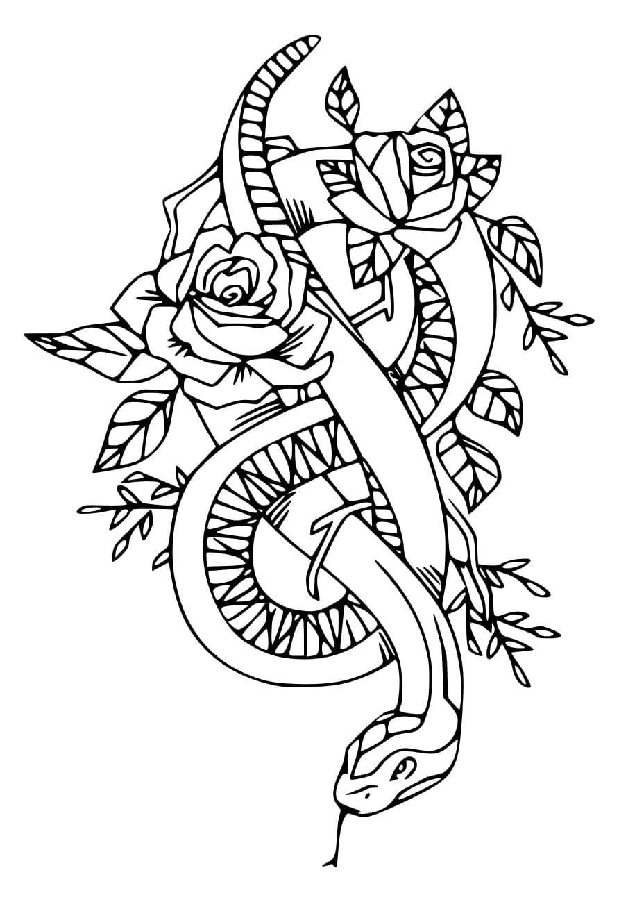 Con Rắn Và Hoa