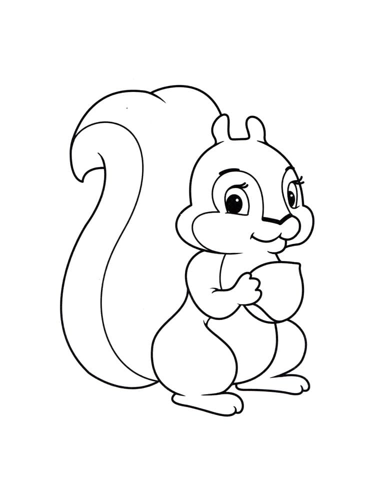 Con Sóc Bé Nhỏ