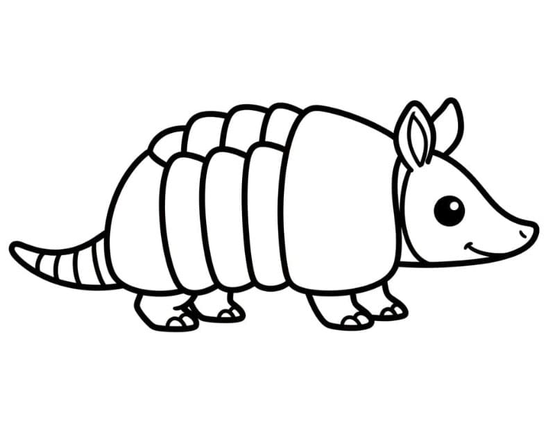Con Tatu Nhỏ Đáng Yêu
