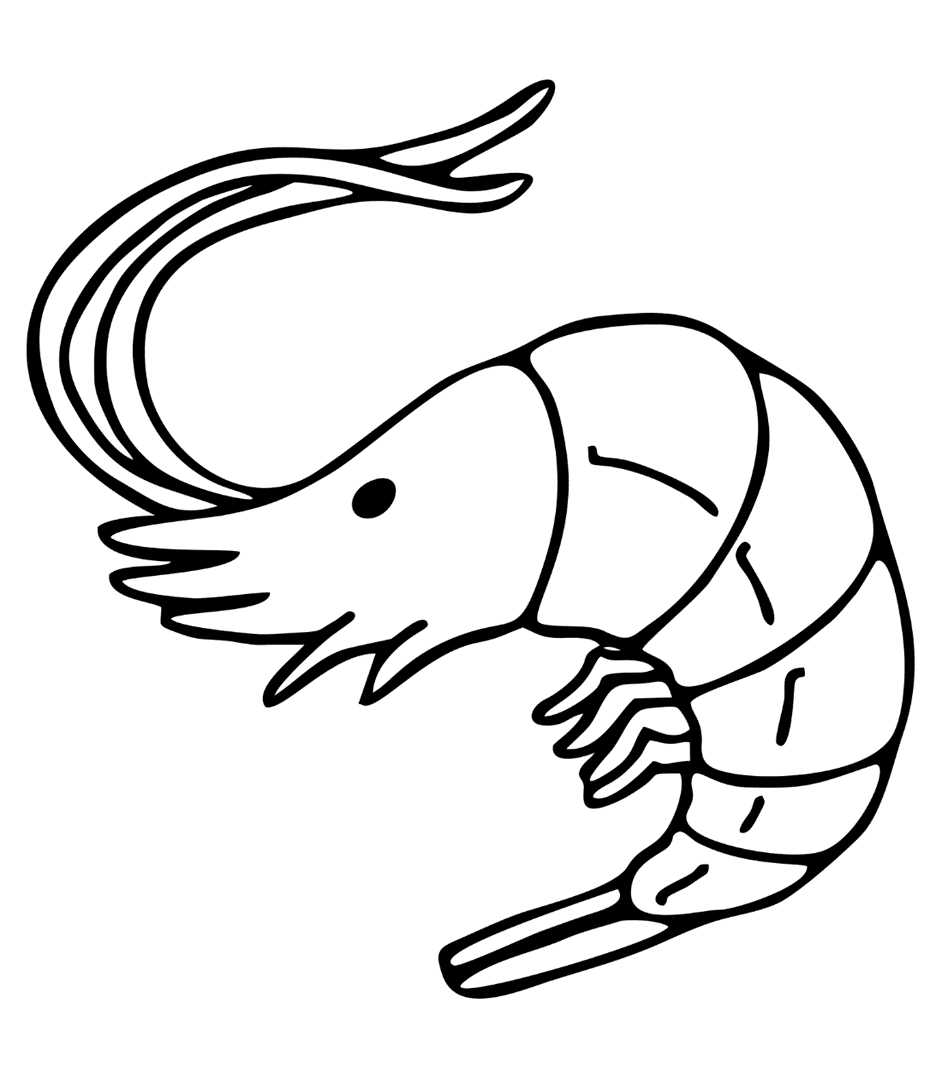 Con Tôm Bình Thường