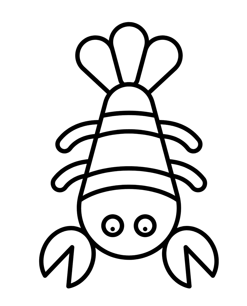 Con Tôm Đáng Yêu