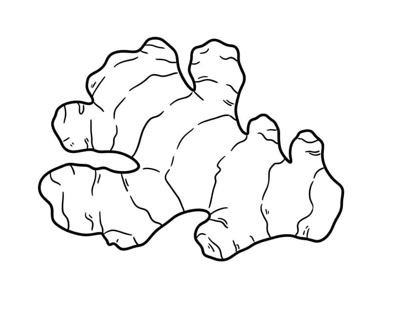 Củ Gừng Đơn Giản