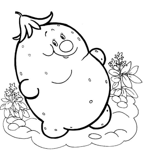 Củ Khoai Tậy Lớn
