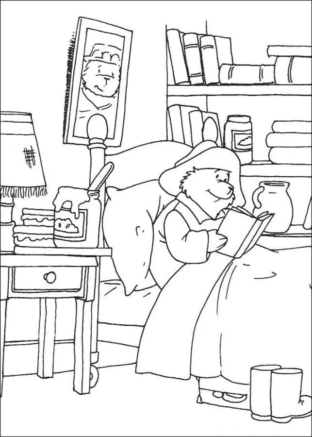 Gấu Paddington Trên Giường