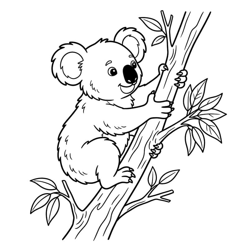 Gấu Túi Leo Cây