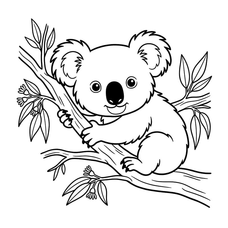 Gấu Túi Trên Cây