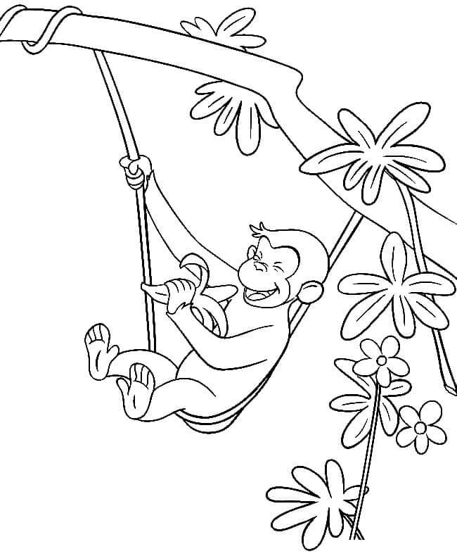 George Vui Vẻ Đu Trên Cây