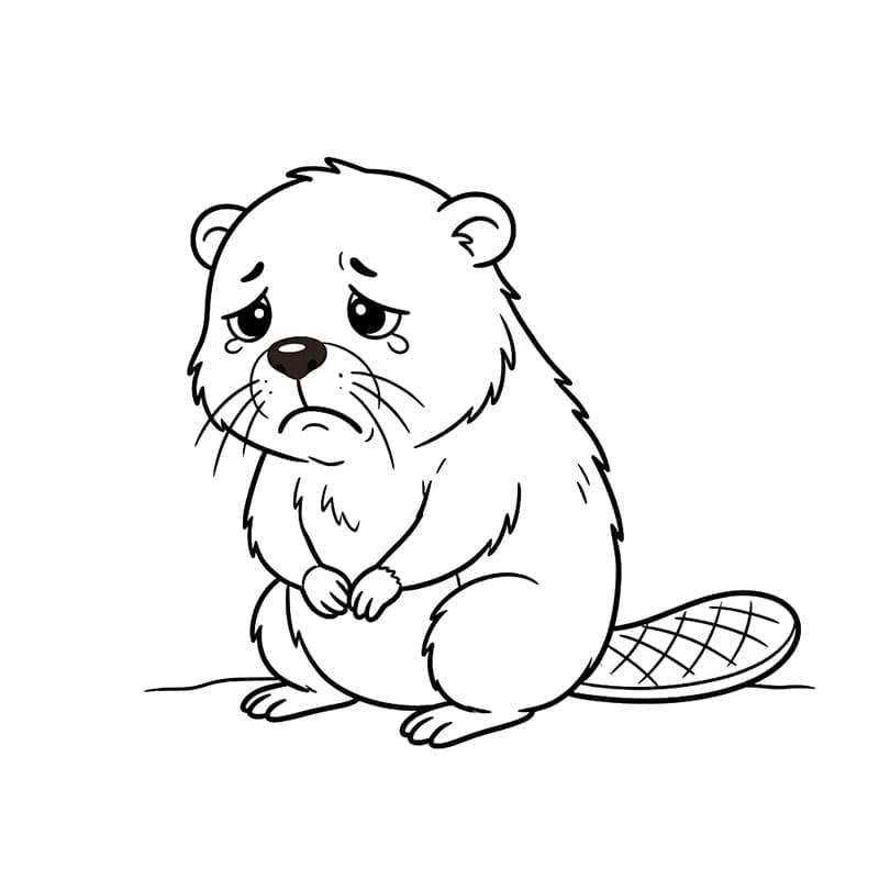 Hải Ly Buồn Bã