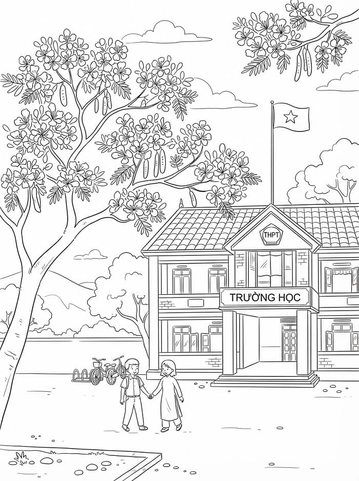 Hoa Phượng Và Trường Học