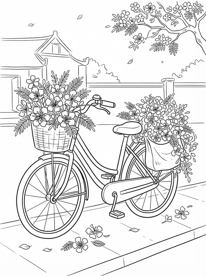 Hoa Phượng Và Xe Đạp