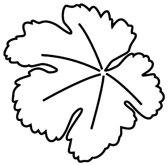 Tô màu Lá Cây Bầu Lá Cây Bầu