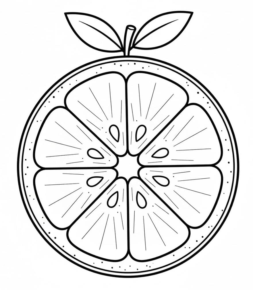 Lát Cam Cắt Ngang