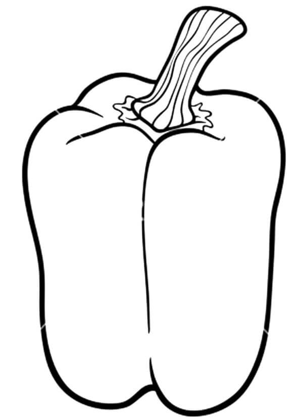 Ớt Chuông