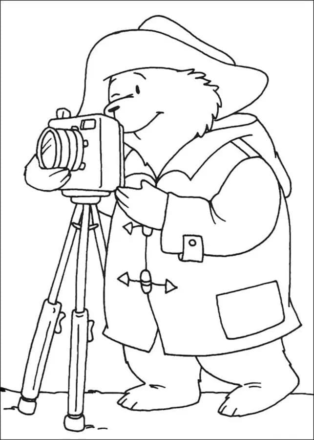 Paddington Chụp Ảnh
