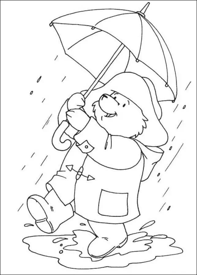 Paddington Dưới Mưa