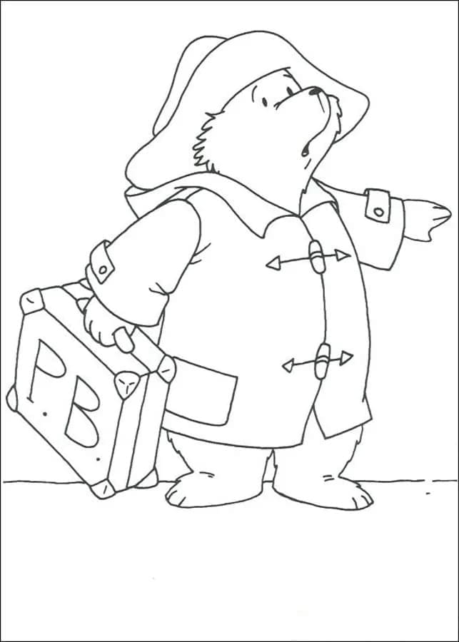 Paddington Ngạc Nhiên