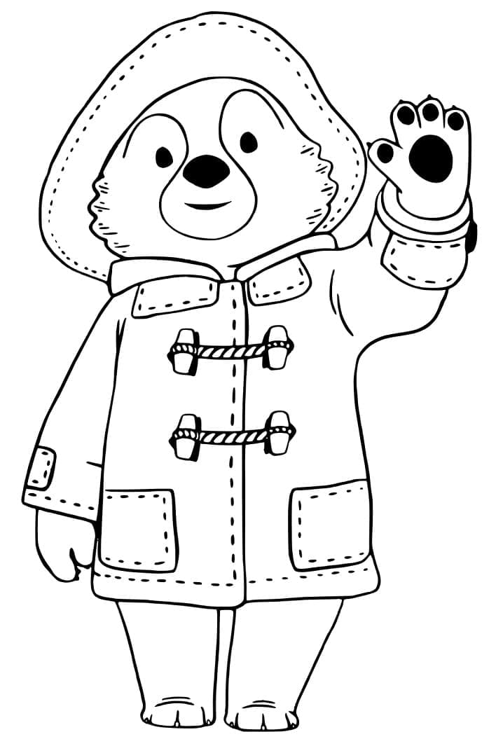 Paddington Vẫy Tay