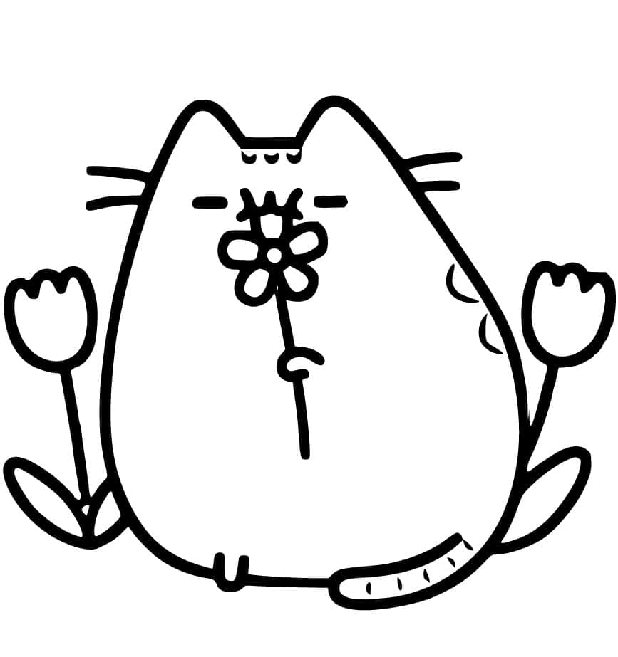 Pusheen Và Bông Hoa