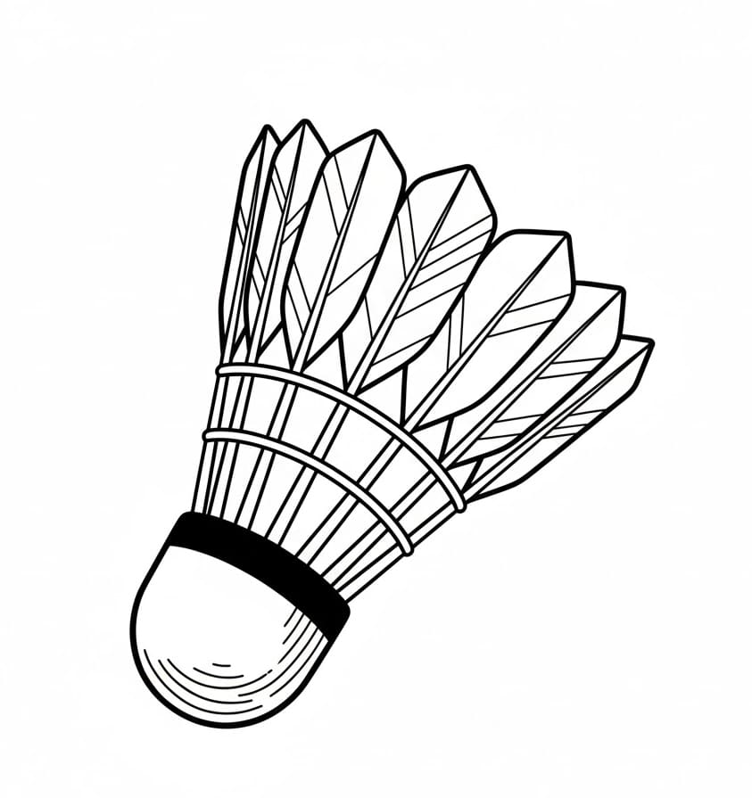 Quả Cầu Lông Chi Tiết