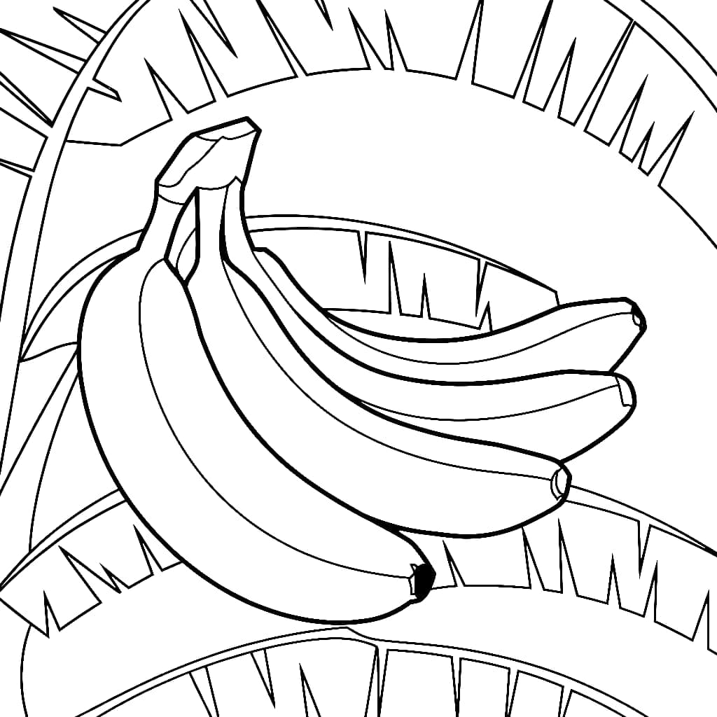 Quả Chuối Và Lá Chuối