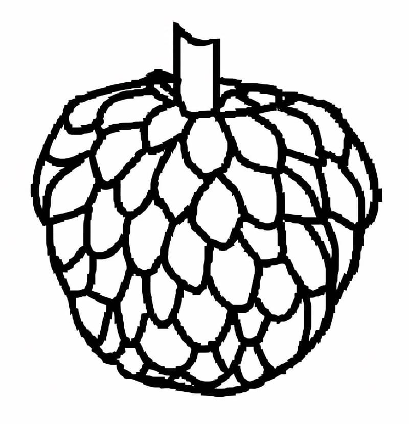 Quả Na Dinh Dưỡng