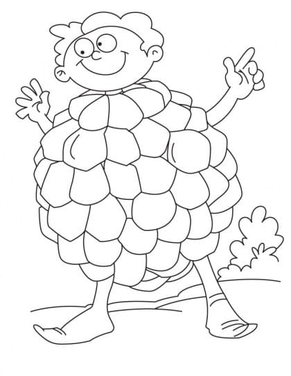 Quả Na Ngộ Nghĩnh