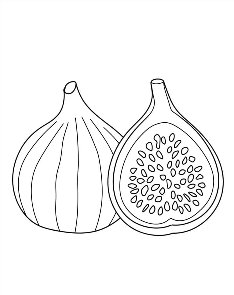 Quả Sung