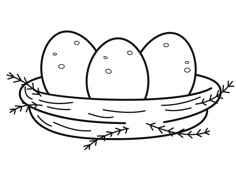 Quả Trứng Trong Tổ Chim