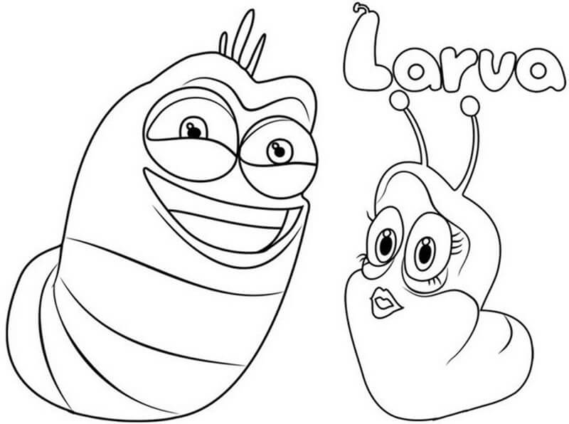Red và Pink Trong Larva