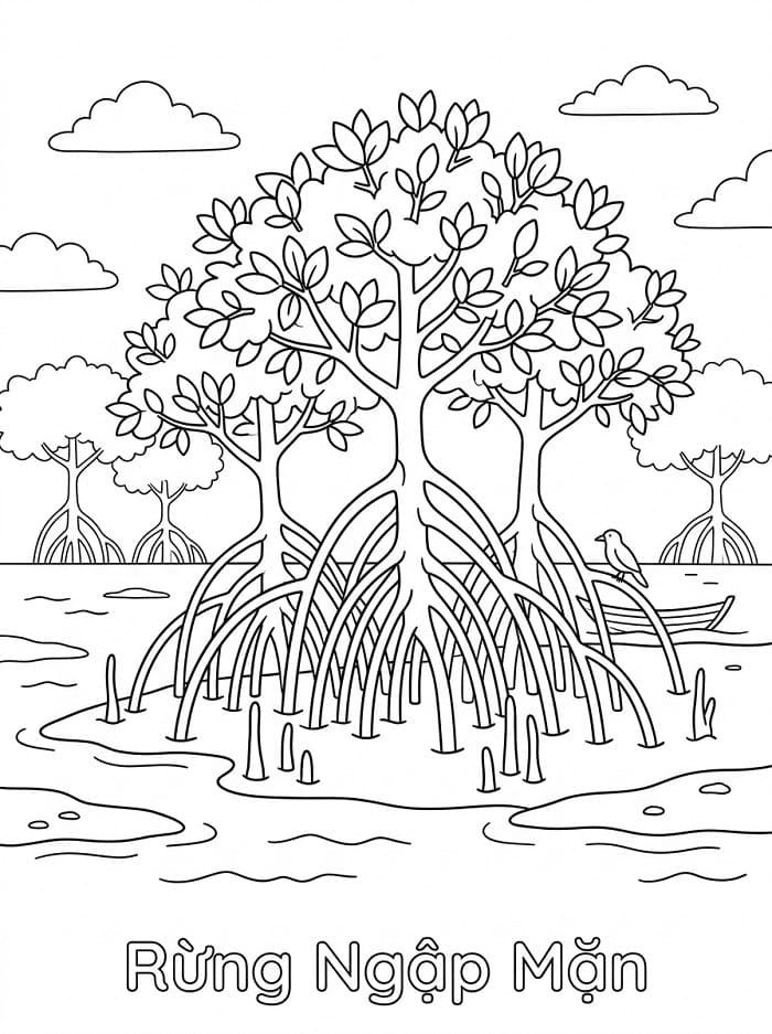 Rừng Ngập Mặn Uốn Lượn