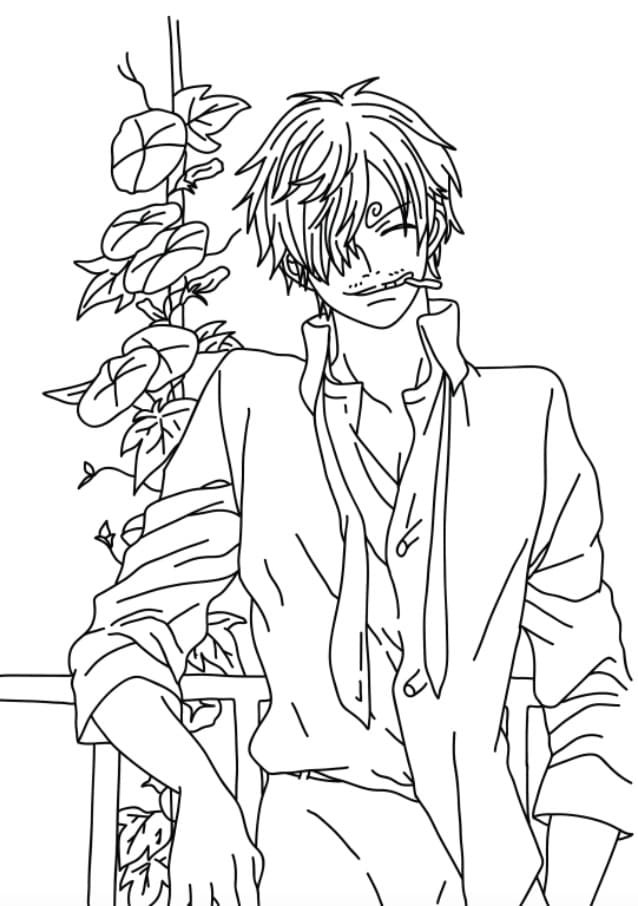 Tô Màu Sanji