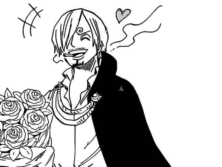 Sanji Vui Vẻ