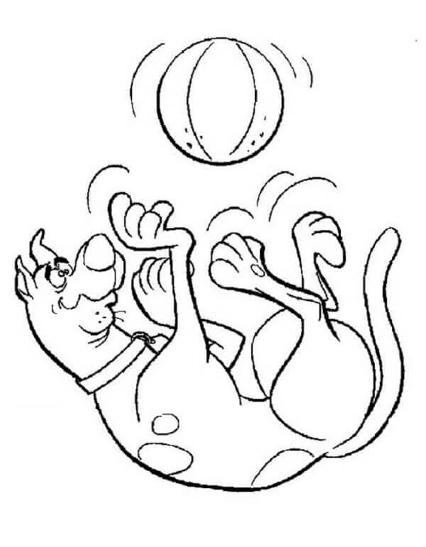 Scooby Doo Chơi Đùa Với Quả Bóng