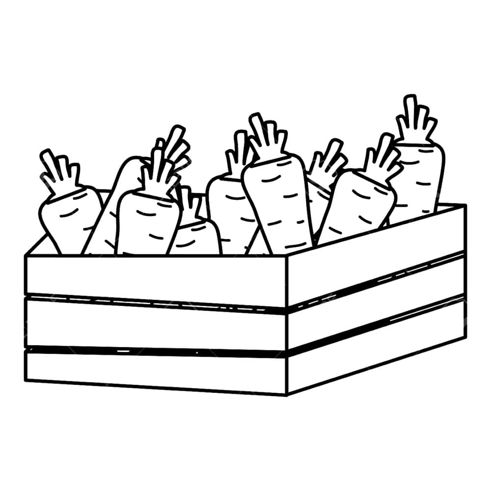 Tranh Tô Màu Sọt Cà Rốt