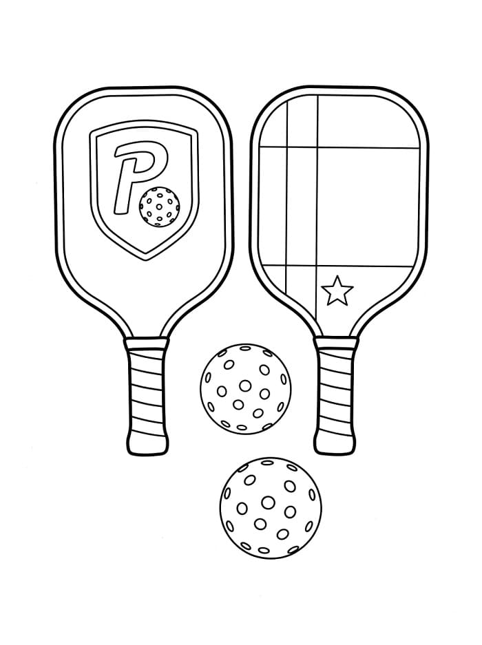 Vợt và Bóng Pickleball
