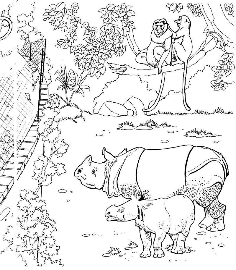 Tê Giác Trong Sở Thú