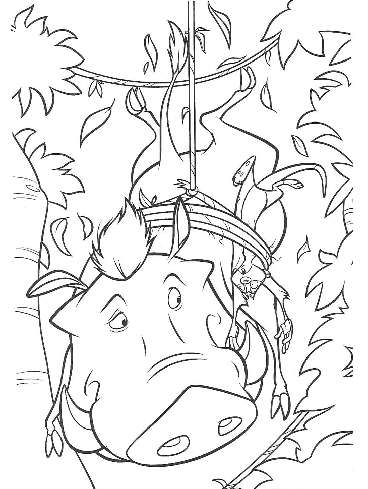 pumbaa và timon bị mắc bẫy